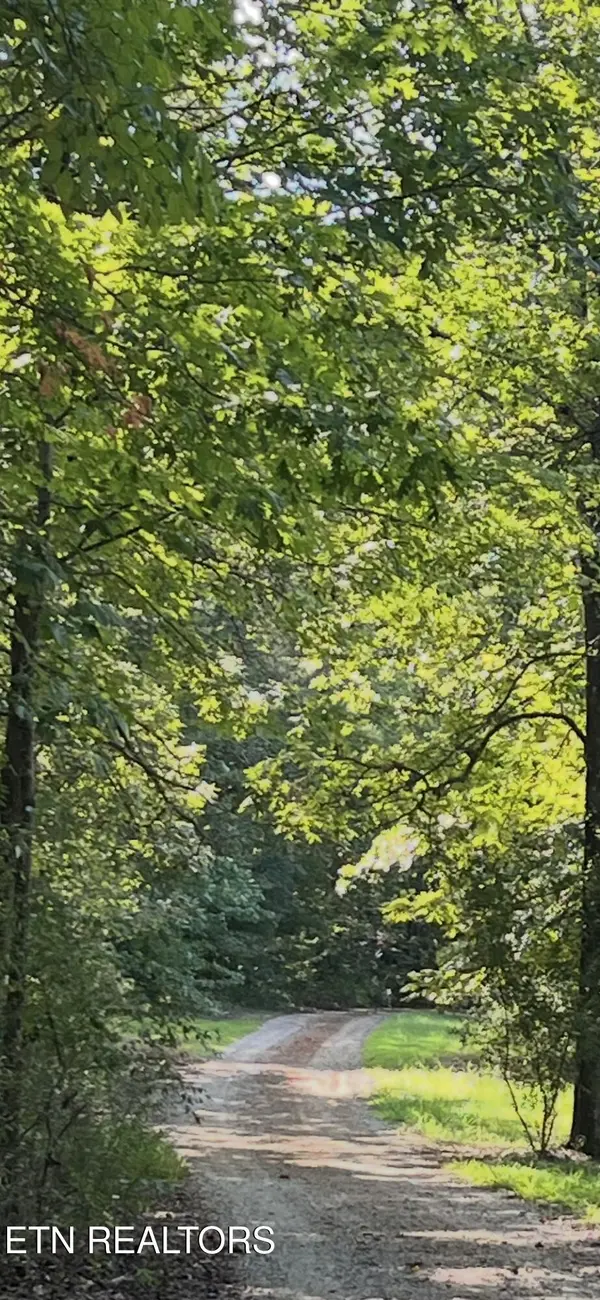 552 New Providence Rd, Tellico Plains, TN 37385