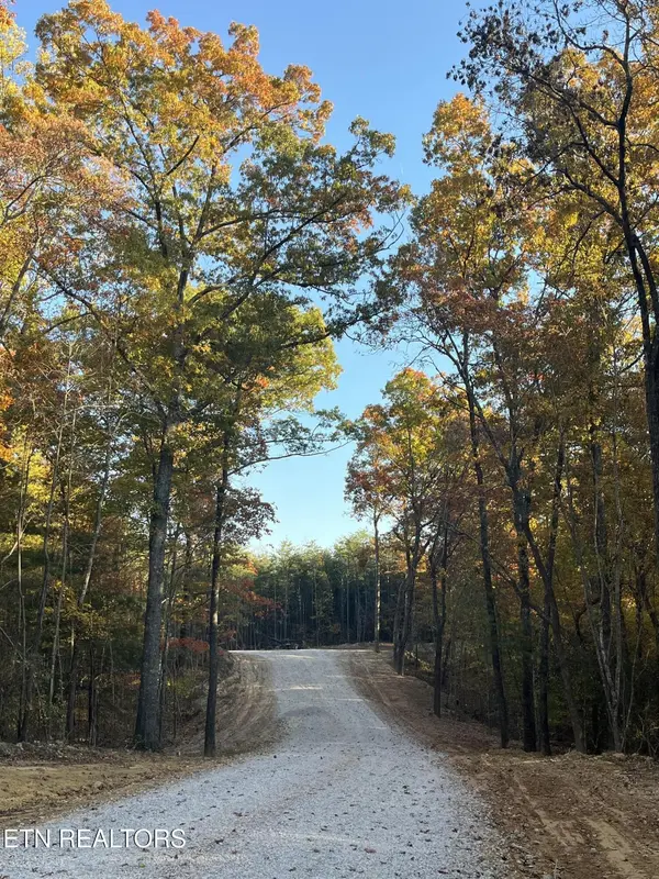 111 Cherokee Path, Tellico Plains, TN 37385