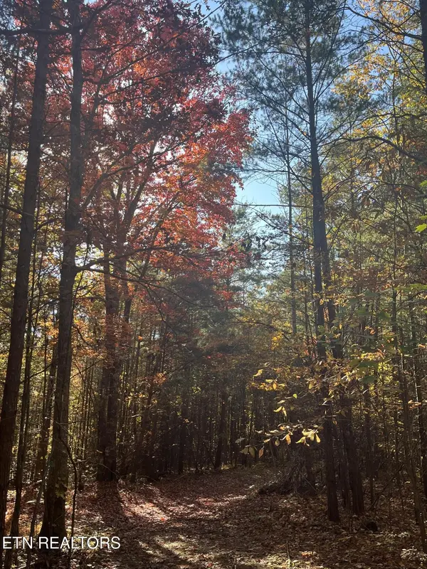 111 Cherokee Path, Tellico Plains, TN 37385