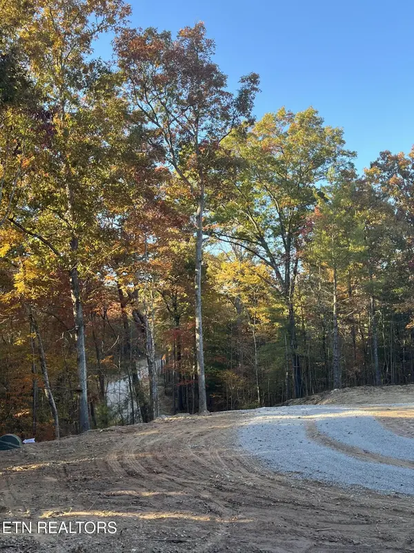 110 Cherokee Path, Tellico Plains, TN 37385