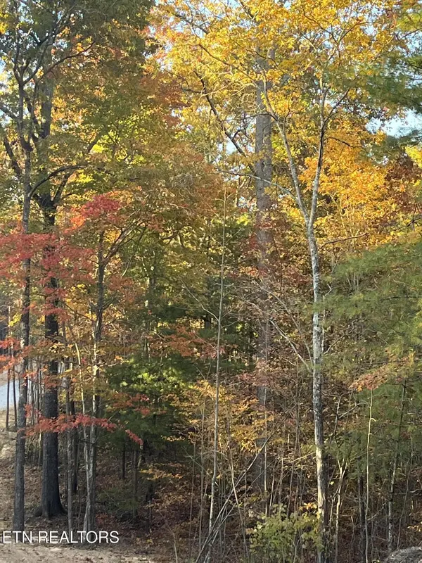 108 Cherokee Path, Tellico Plains, TN 37385