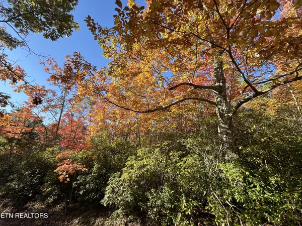 107 Cherokee Path, Tellico Plains, TN 37385