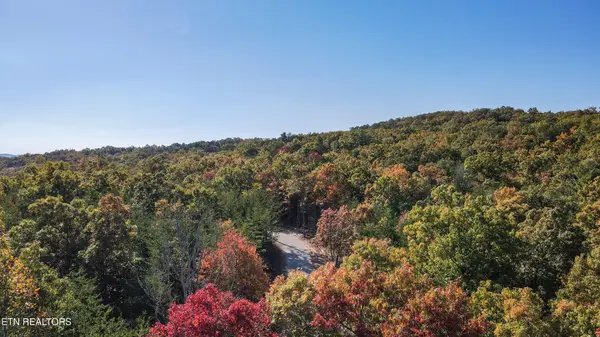 107 Cherokee Path, Tellico Plains, TN 37385