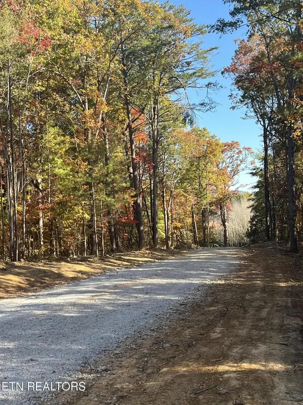 103 Cherokee Path, Tellico Plains, TN 37385