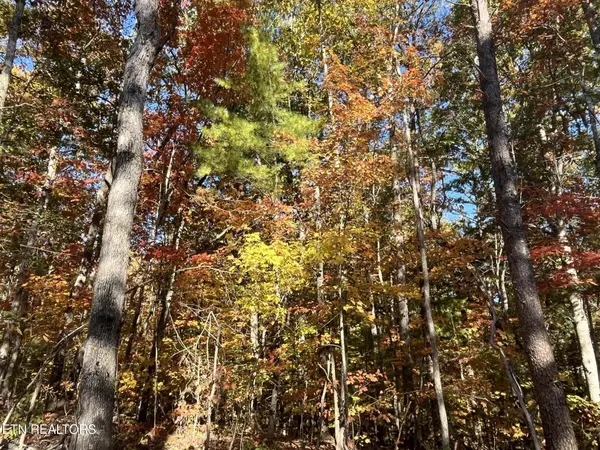103 Cherokee Path, Tellico Plains, TN 37385
