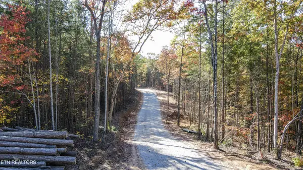 101 Cherokee Path, Tellico Plains, TN 37385