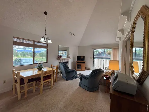 1010 S Saint Vrain #E-4, Estes Park, CO 80517