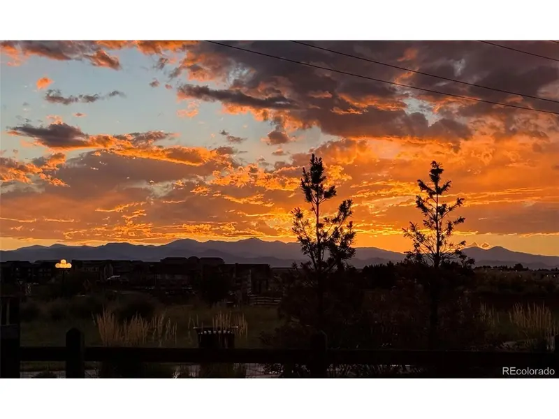 8973 Birch Run, Parker, CO 80134