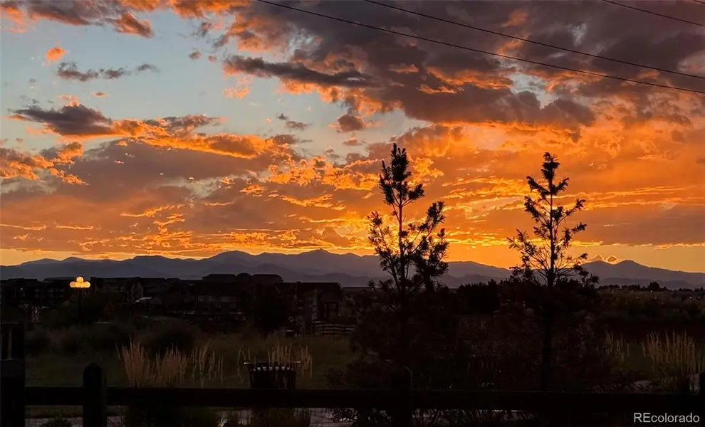 8973 Birch Run LN, Parker, CO 80134