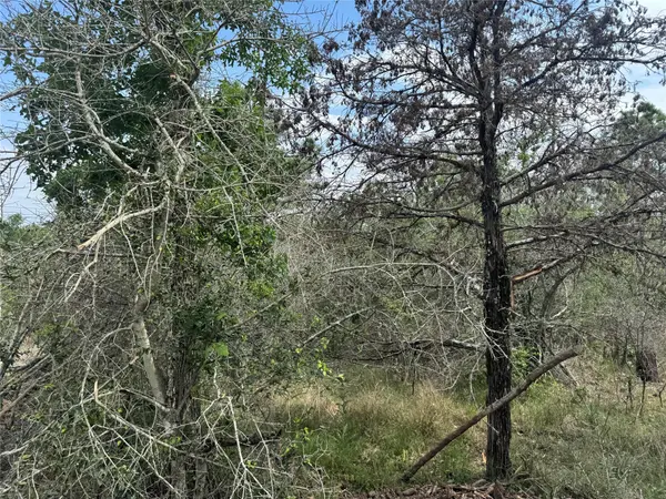 Lot 1263 Hanauma DR, Alum Creek, TX 78602