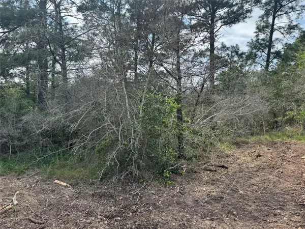 Lot 1263 Hanauma DR, Alum Creek, TX 78602