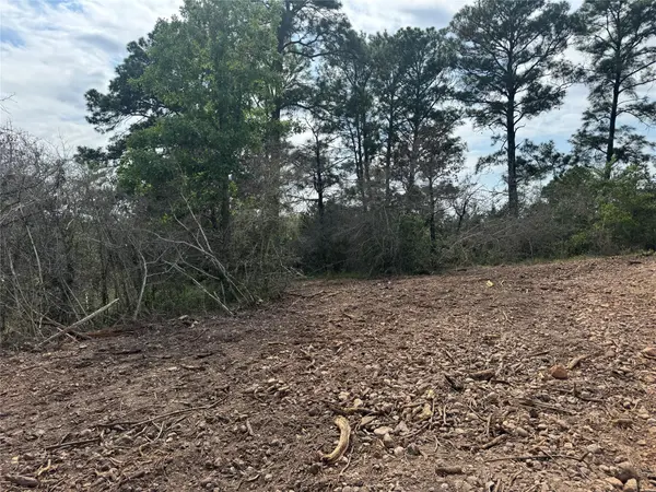 Lot 1263 Hanauma DR, Alum Creek, TX 78602