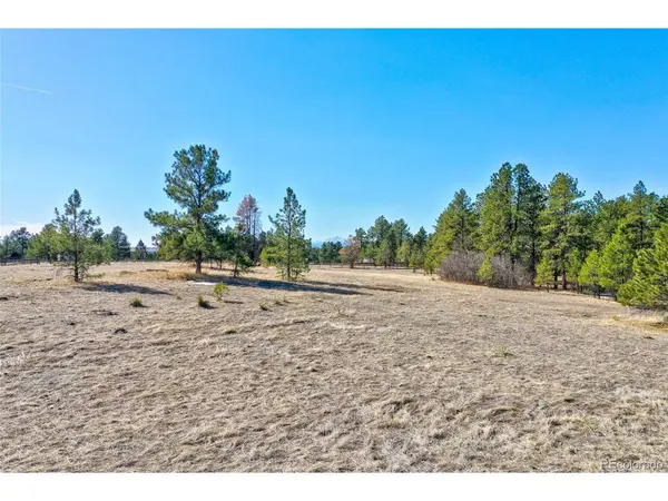 1801 Marie Elena, Franktown, CO 80116