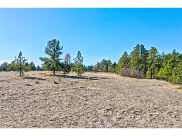 1801 Marie Elena, Franktown, CO 80116