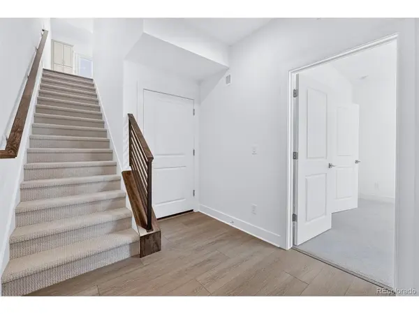 701 Saddle, Erie, CO 80516