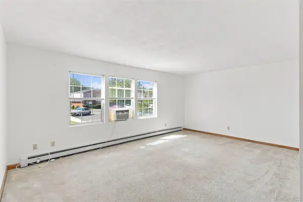 19 Huguenot ST #3, New Paltz, NY 12561