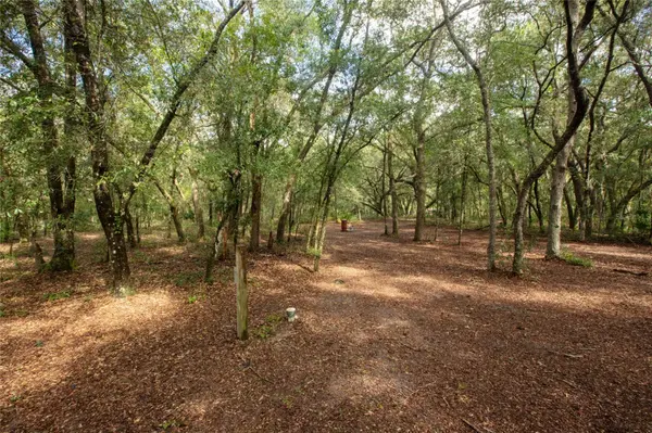 5590 JENKINS LOOP DR, Keystone Heights, FL 32656