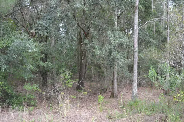 DEEN STILL RD W, Polk City, FL 33868