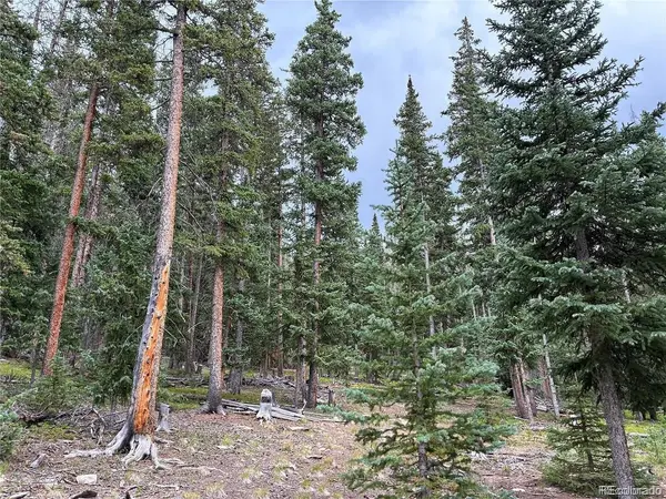 LOT 6621` Clinton RD, San Luis, CO 81152