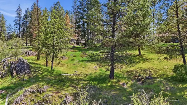 13XXX S Finney St, Medical Lake, WA 99022