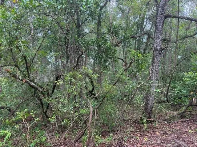 177 N OAKWOOD TER, Inverness, FL 34453