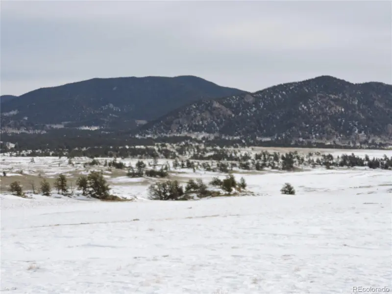 2418 Goldenburg Canyon RD, Hartsel, CO 80449