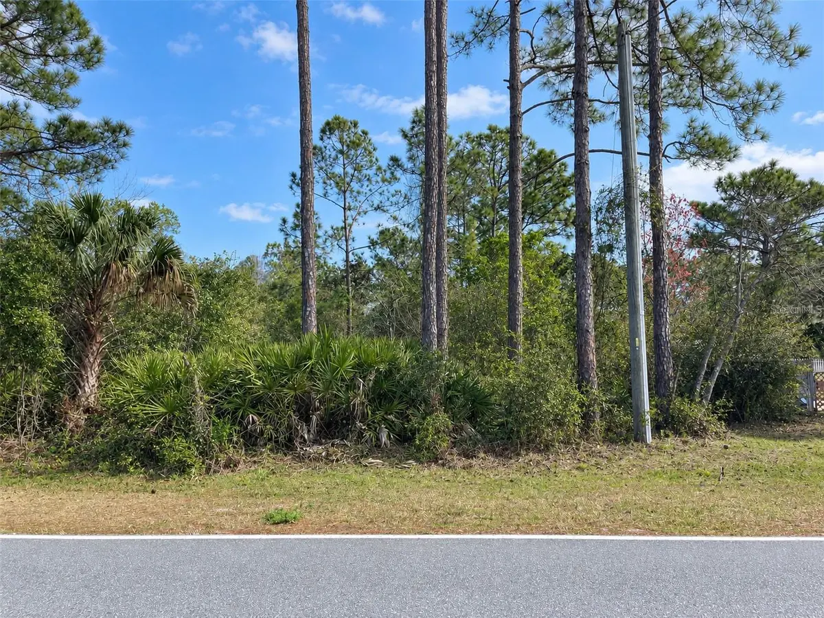ROYAL TRAILS RD, Eustis, FL 32736