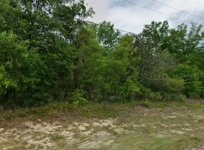 9223 N JUSTA DR, Citrus Springs, FL 34433