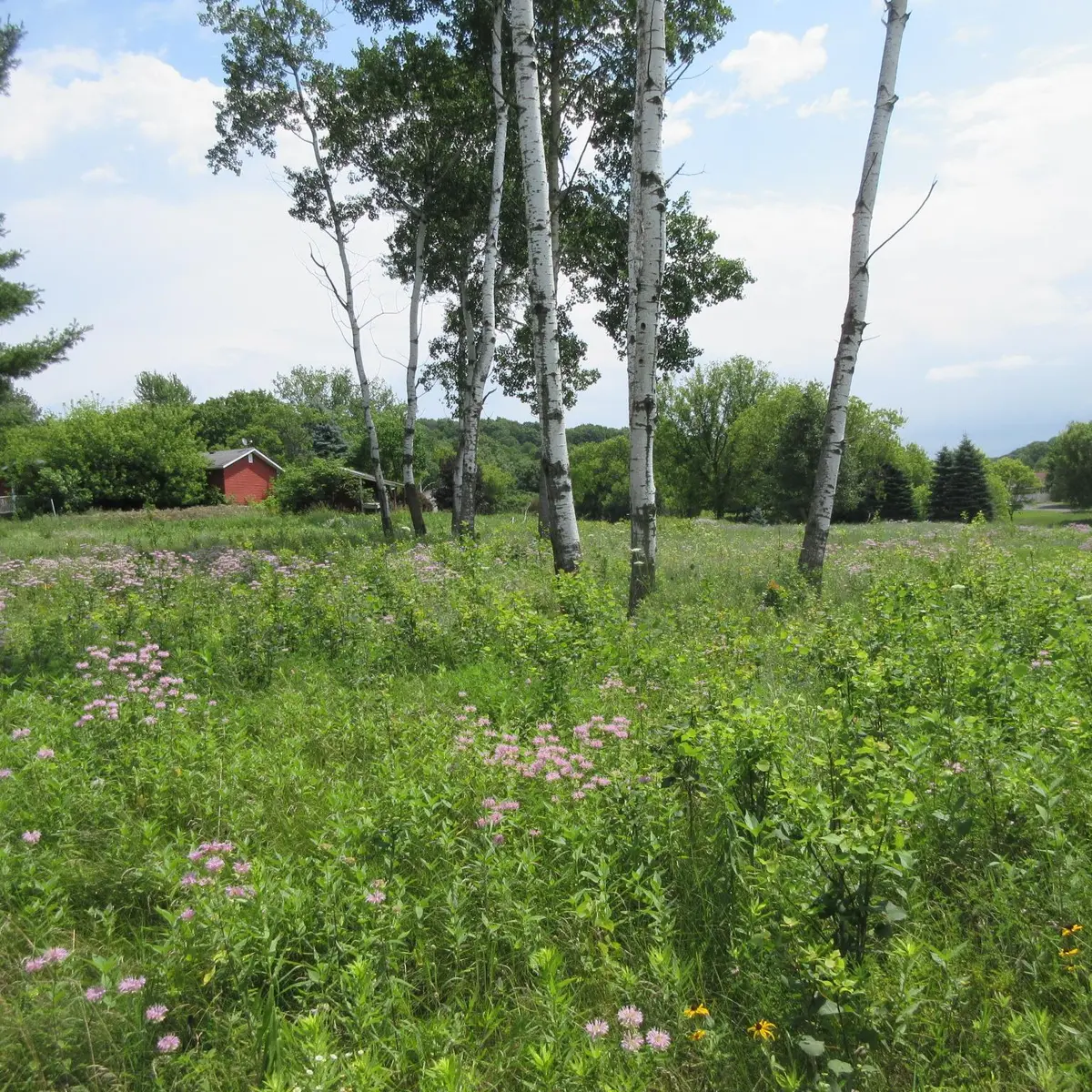 Lot 12 516th Street, Menomonie, WI 54751