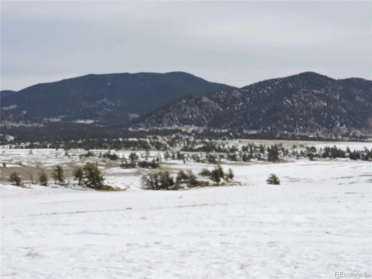 2418 Goldenburg Canyon RD, Hartsel, CO 80449