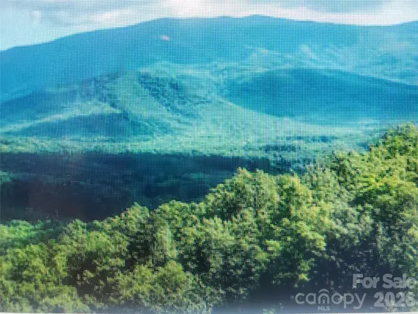 000 Justin RDG #M, Clyde, NC 28721
