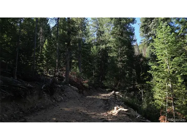 33864 bergen view, Evergreen, CO 80439