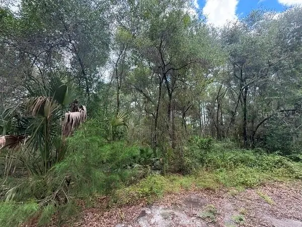189 N OAKWOOD TER, Inverness, FL 34453