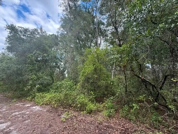 177 N OAKWOOD TER, Inverness, FL 34453