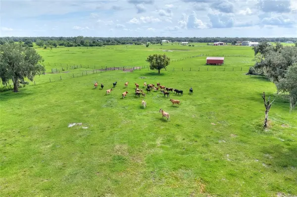9111 LAKE BUFFUM RD N, Fort Meade, FL 33841