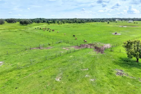 9111 LAKE BUFFUM RD N, Fort Meade, FL 33841
