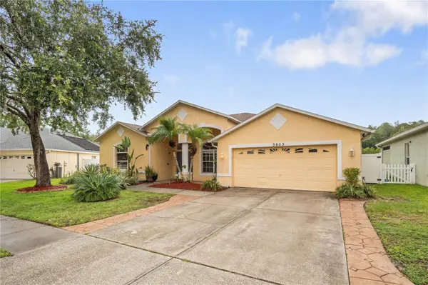 3803 GRAND FORKS DR, Land O Lakes, FL 34639