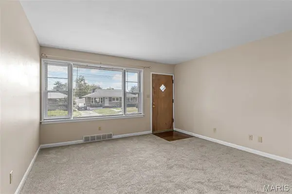 3951 French CT, St Louis, MO 63116