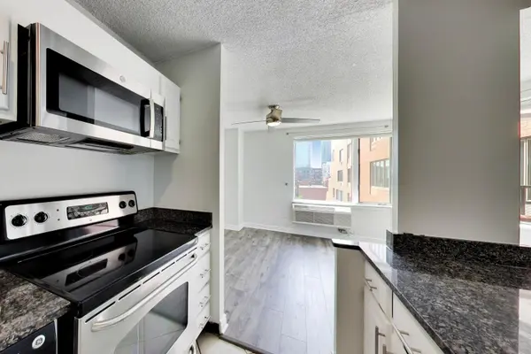 801 S Plymouth CT #1006, Chicago, IL 60605