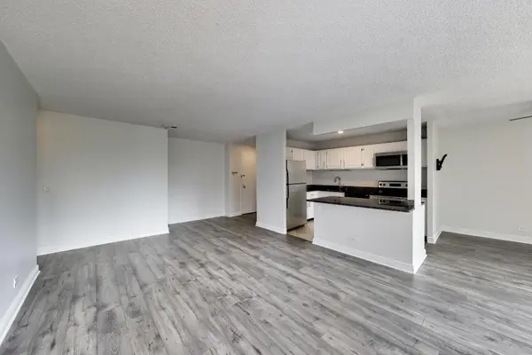 801 S Plymouth CT #1006, Chicago, IL 60605