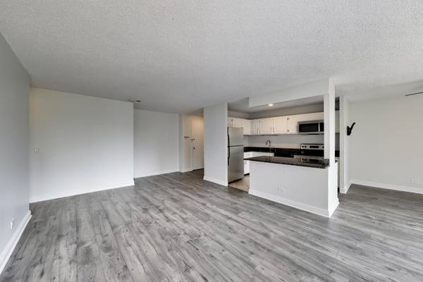 801 S Plymouth CT #1006, Chicago, IL 60605