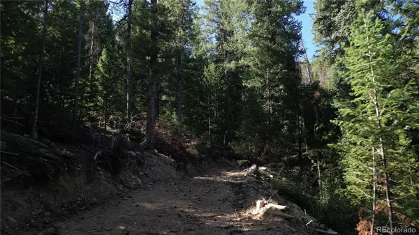 33864 bergen view, Evergreen, CO 80439