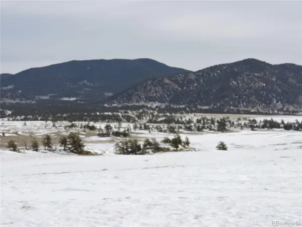 2418 Goldenburg Canyon RD, Hartsel, CO 80449