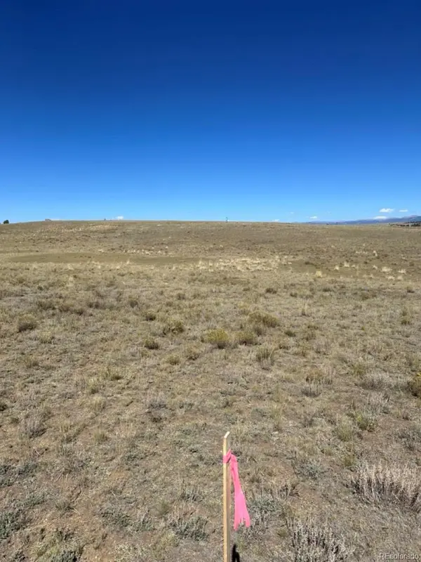 2418 Goldenburg Canyon RD, Hartsel, CO 80449