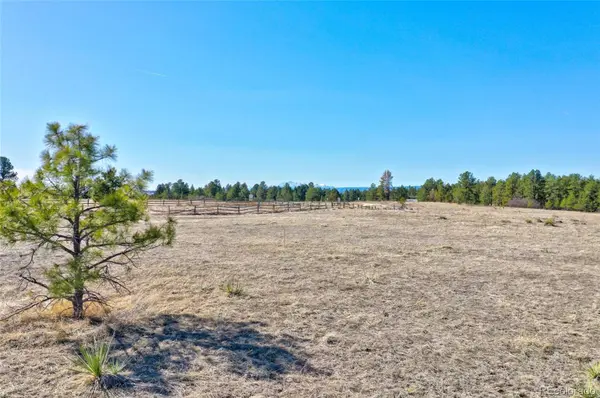 9409 Sky Meadow PT, Franktown, CO 80116