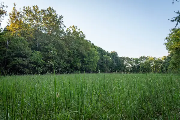 6807 Cross Keys Rd, College Grove, TN 37046