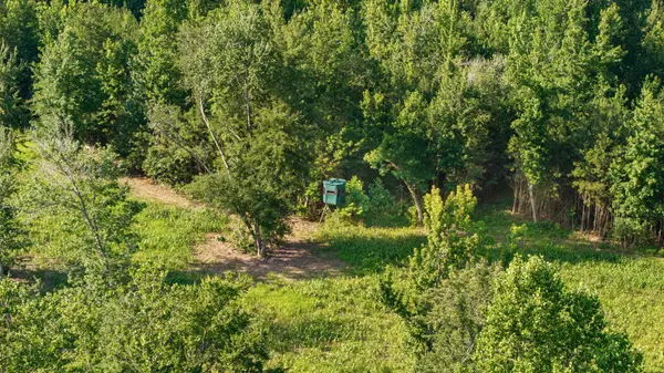 0 Hamilton Rd, Springville, TN 38256