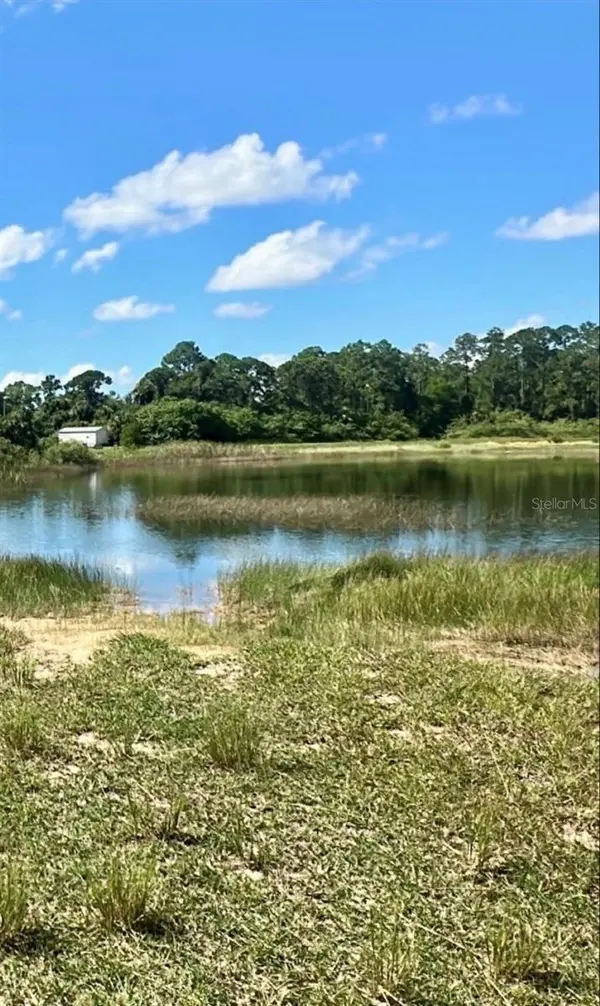 1026 BUTLER ST E, Lehigh Acres, FL 33974
