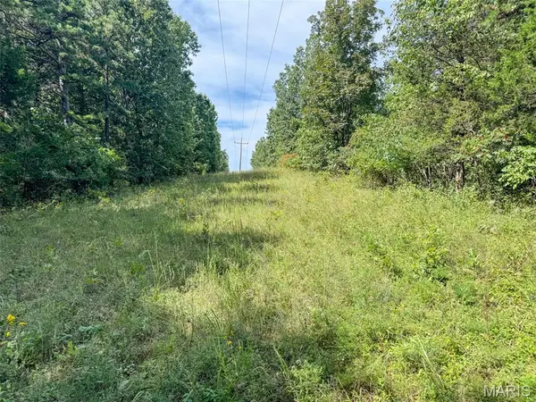 0 Madison 221, Fredericktown, MO 63645