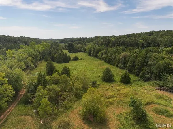 11353 Aspen Road, Richwoods, MO 63071
